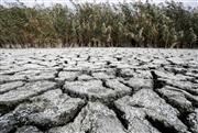 150 ημέρες με καύσωνα και ξηρασία στην Αττική - Τι δείχνουν τα στοιχεία του ΕΚΠΑ