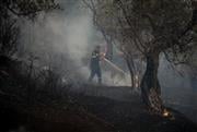 Τρεις συλλήψεις για τις φωτιές σε Κορινθία και Λέσβο - Πάνω από ένα εκατ. ευρώ τα πρόστιμα από αρχές του 2026