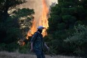 Μάχη σε διάσπαρτα πύρινα μέτωπα στη Δυτική Αττική: Συνεχίζεις οι αναζωπυρώσεις - Live ενημέρωση