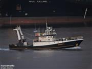 Στη Μαρτινίκα έδεσε το πλοίο με τους τέσσερις τόνους κοκαΐνης - Στον εισαγγελέα Πειραιά ο «Έλληνας Εσκομπάρ»