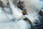 Για όγδοο 24ωρο μαίνεται η φωτιά στην Κόνιτσα - Γιατί είναι κομβική η σημερινή μέρα