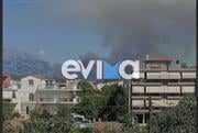 Φωτιά σε δάσος στην Εύβοια: 112 για εκκένωση της Τριάδας - Ισχυρές δυνάμεις της Πυροσβεστικής