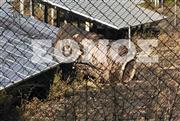 Στο μικροσκόπιο τα αίτια της συντριβής του Phantom - Πώς έγινε η τραγωδία στην Τανάγρα