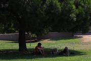 Επιμένει η ζέστη με θερμοκρασίες έως 40°C - Πού αναμένονται βροχές