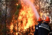Μια νέα απειλή για την Ευρώπη: Όταν οι πυρκαγιές φέρνουν στην επιφάνεια τις βόμβες του Β' Παγκοσμίου Πολέμου