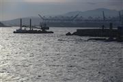 Μέχρι τον Σαρωνικό ψάχνουν για απαντήσεις μετά το μυστηριώδες αέριο στην Αττική -  Τι εξετάζουν οι αρχές