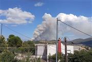 Μεγάλη φωτιά στην Οινόη Αττικής, σε πευκόφυτο δάσος: Καίει ανάμεσα στα καμένα του '21 και του '23 - Στη μάχη 12 εναέρια μέσα