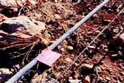 Έτσι ξεκίνησε η πυρκαγιά στη Βοιωτία: Βραχυκύκλωμα «δείχνει» το πόρισμα - Φωτογραφίες ντοκουμέντο