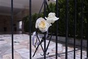 Τραγωδία στην Ηλιούπολη: Συγκλονίζουν οι γονείς της 16χρονης Μελίνας - Μετατρέπουν τον πόνο τους σε πράξη αγάπης