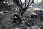 Αποκαρδιωτικές εικόνες στη Χαλκιδική: Οδοιπορικό στις πληγείσες περιοχές - Στον εισαγγελέα οι υπεύθυνοι του ΔΕΔΔΗΕ