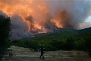 Εκτός ελέγχου η φωτιά στη Βοιωτία: Συγκλονιστικές εικόνες από την πύρινη κόλαση στο Πόρτο Γερμενό - Απεγκλωβισμοί από τη θάλασσα, κάηκε πυροσβεστικό όχημα