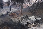 Οι πρώτες εκτιμήσεις για την καταστροφή μετά τη φωτιά στη Χαλκιδική - Πόσες χιλιάδες στρέμματα κάηκαν