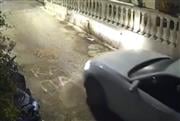 Φρίκη στην Κέρκυρα: Πέρασε με το αυτοκίνητο πάνω από σκύλο και τον άφησε να πεθάνει στον δρόμο - Σκληρές εικόνες