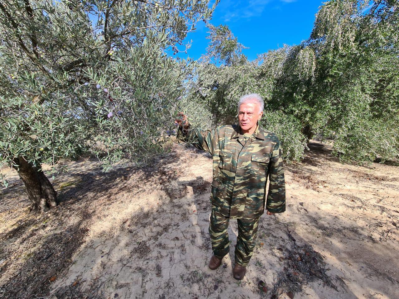 Παναγιώτης Ψωμιάδης Παναγιώτης Ψωμιάδης