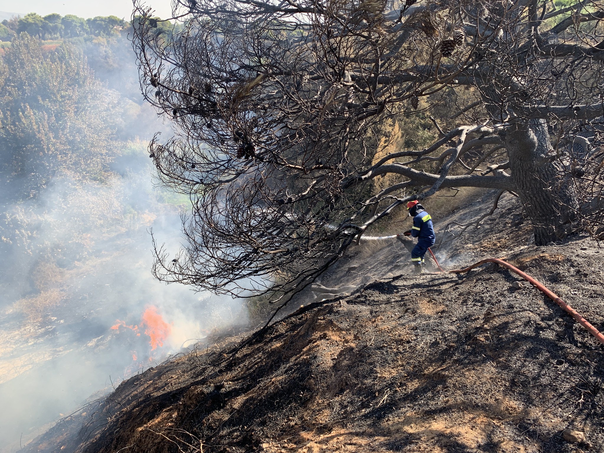 Δασικές Πυρκαγιές Δασικές Πυρκαγιές