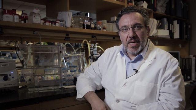 Όθωνας Ηλιόπουλος