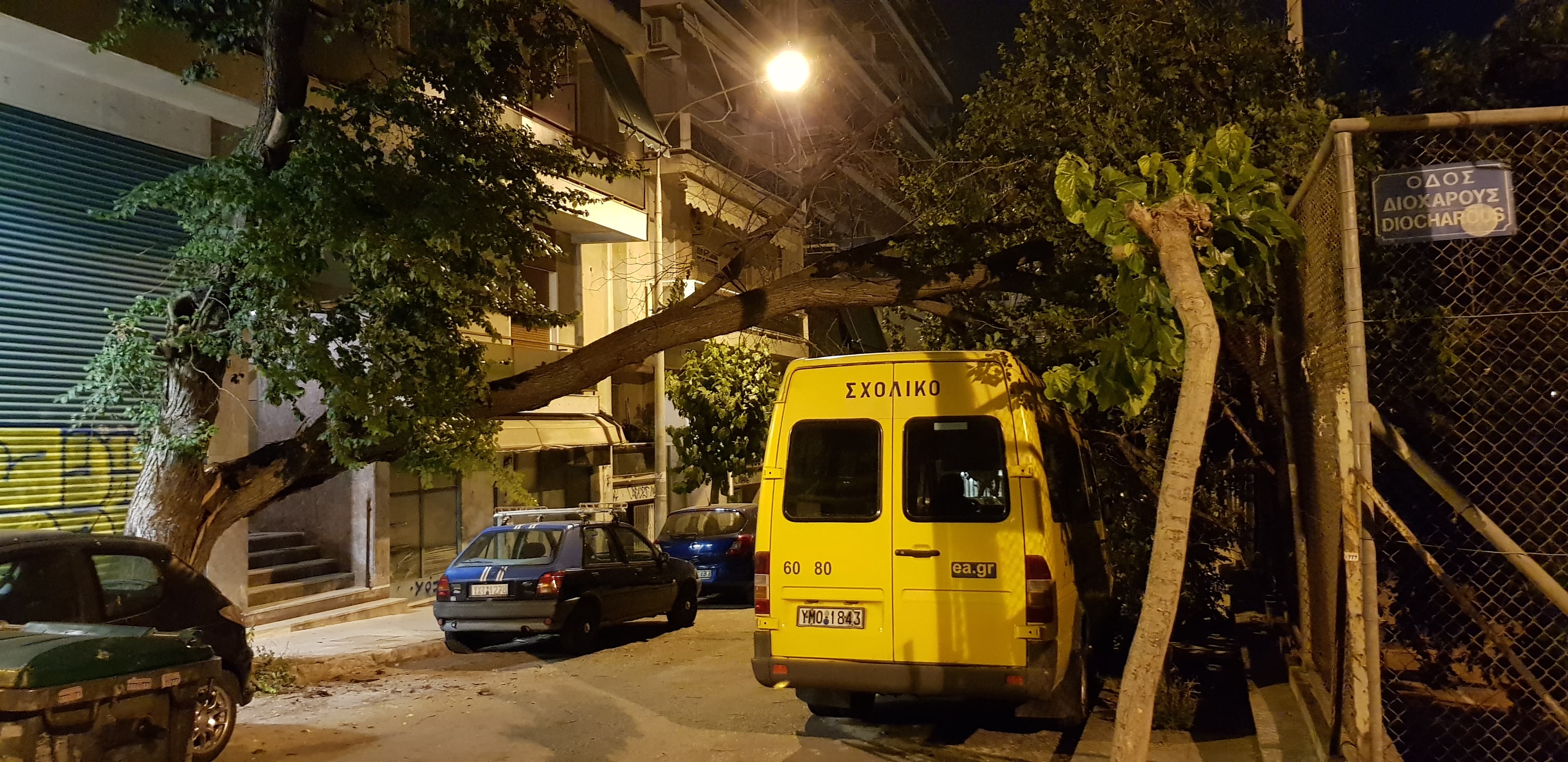 61604362_455754731839774_1965778931919355904_n.jpg 61604362_455754731839774_1965778931919355904_n.jpg