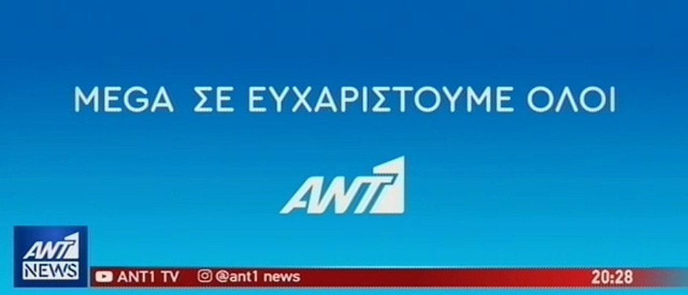 ant1.jpg