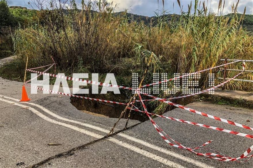 ilia93.jpg ilia93.jpg