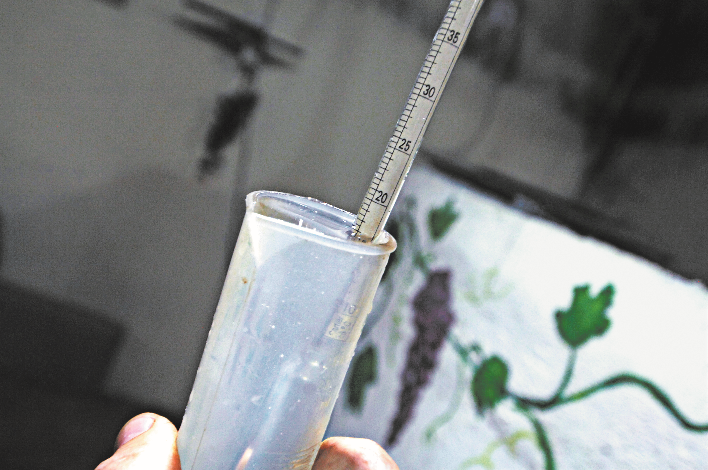 untitled4.png untitled4.png