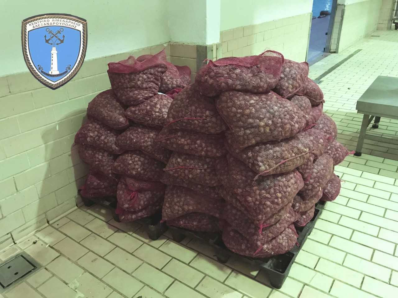 ostraka1.jpg ostraka1.jpg