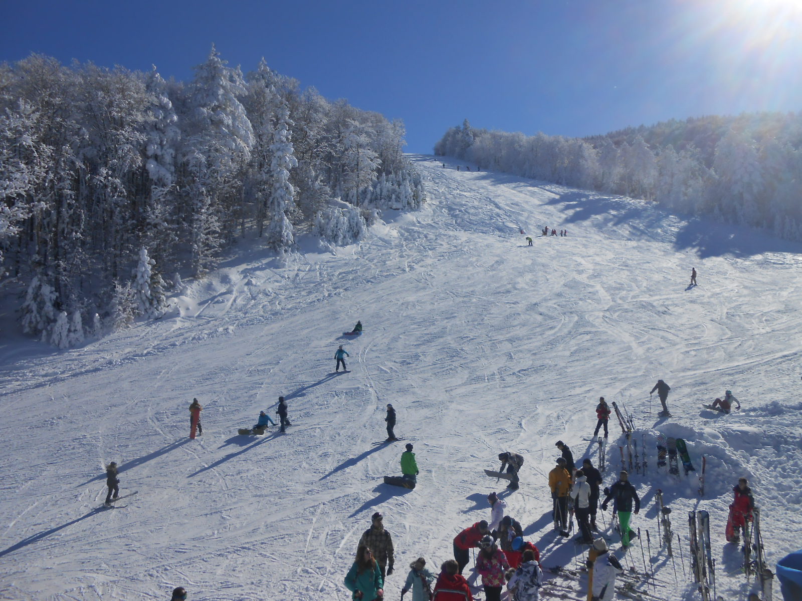 dscn9703.jpg dscn9703.jpg