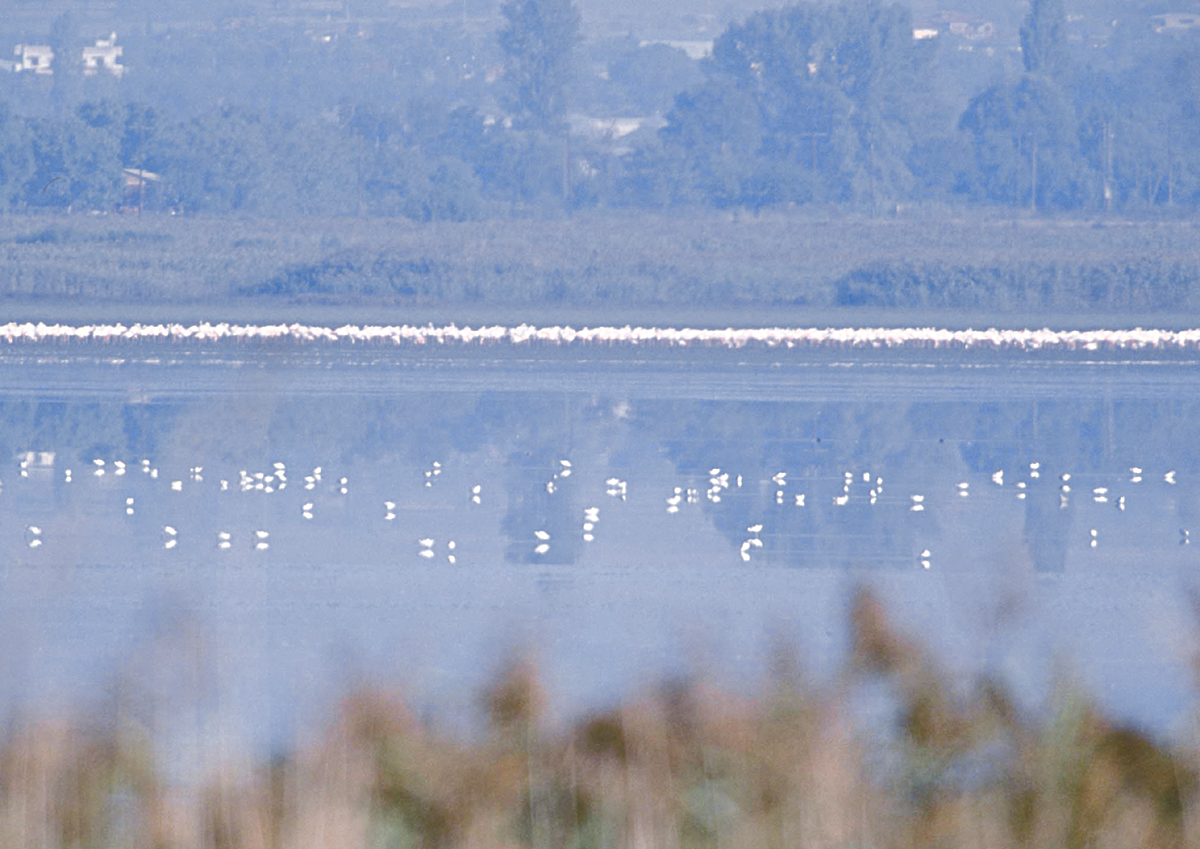 limni2.png limni2.png