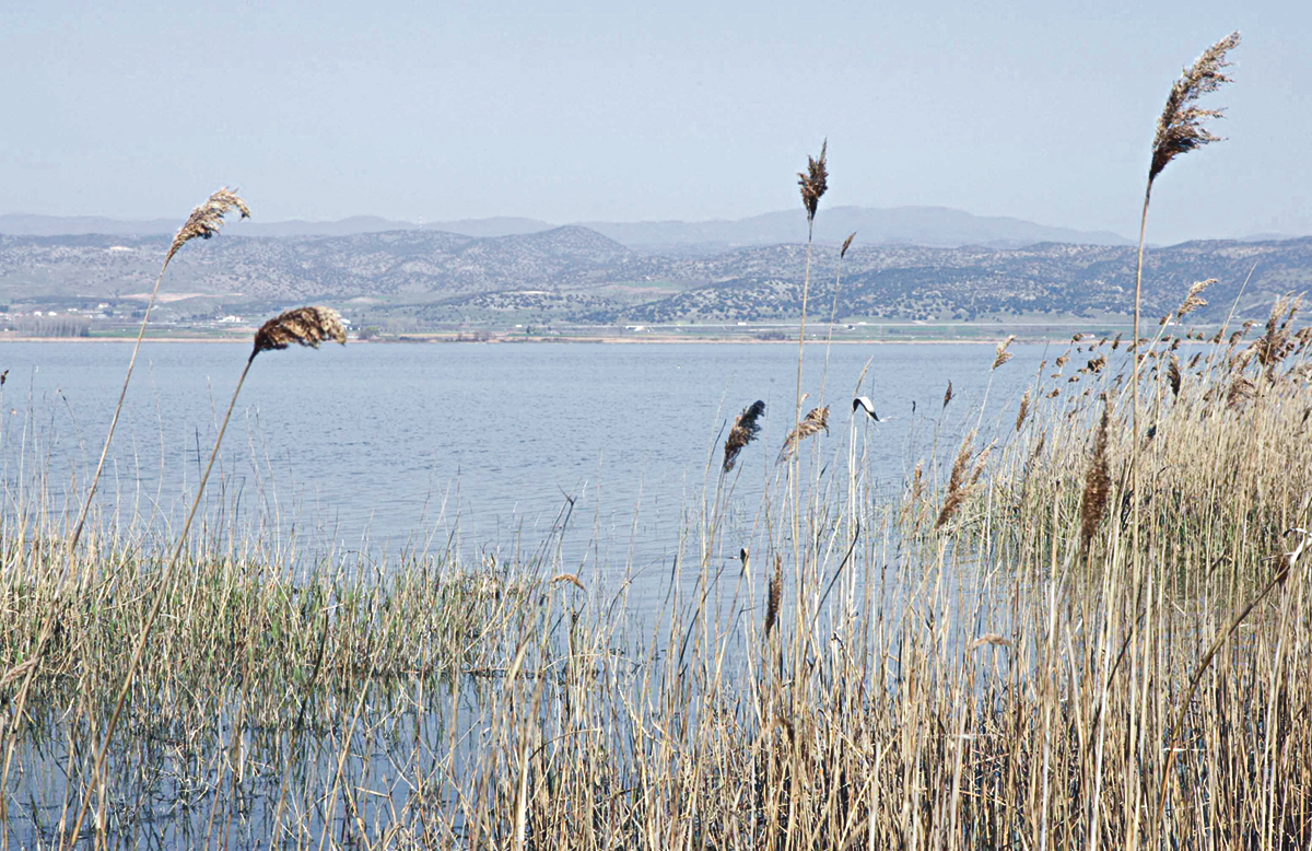 limni4.png limni4.png