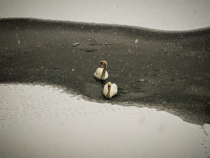 Λίμνη Καστοριάς (Eurokinissi) Λίμνη Καστοριάς