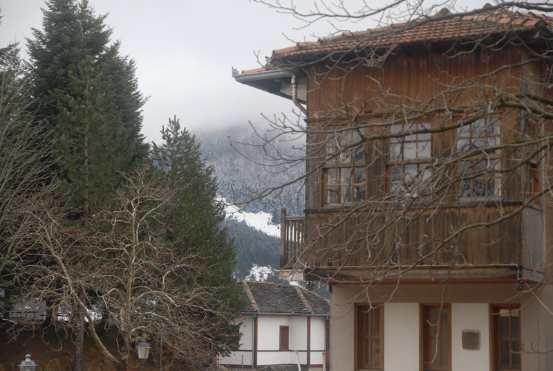 dsc_0019.jpg dsc_0019.jpg