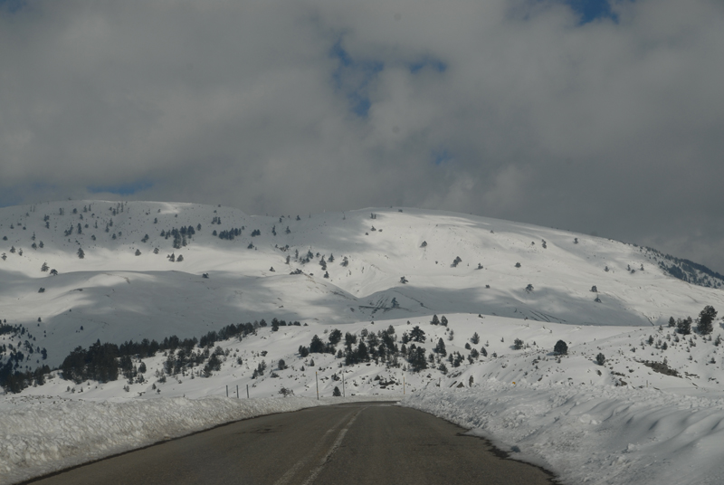 dsc_0030.jpg dsc_0030.jpg