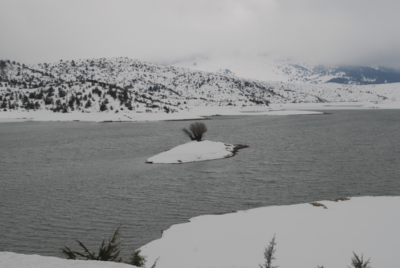 dsc_0149.jpg dsc_0149.jpg