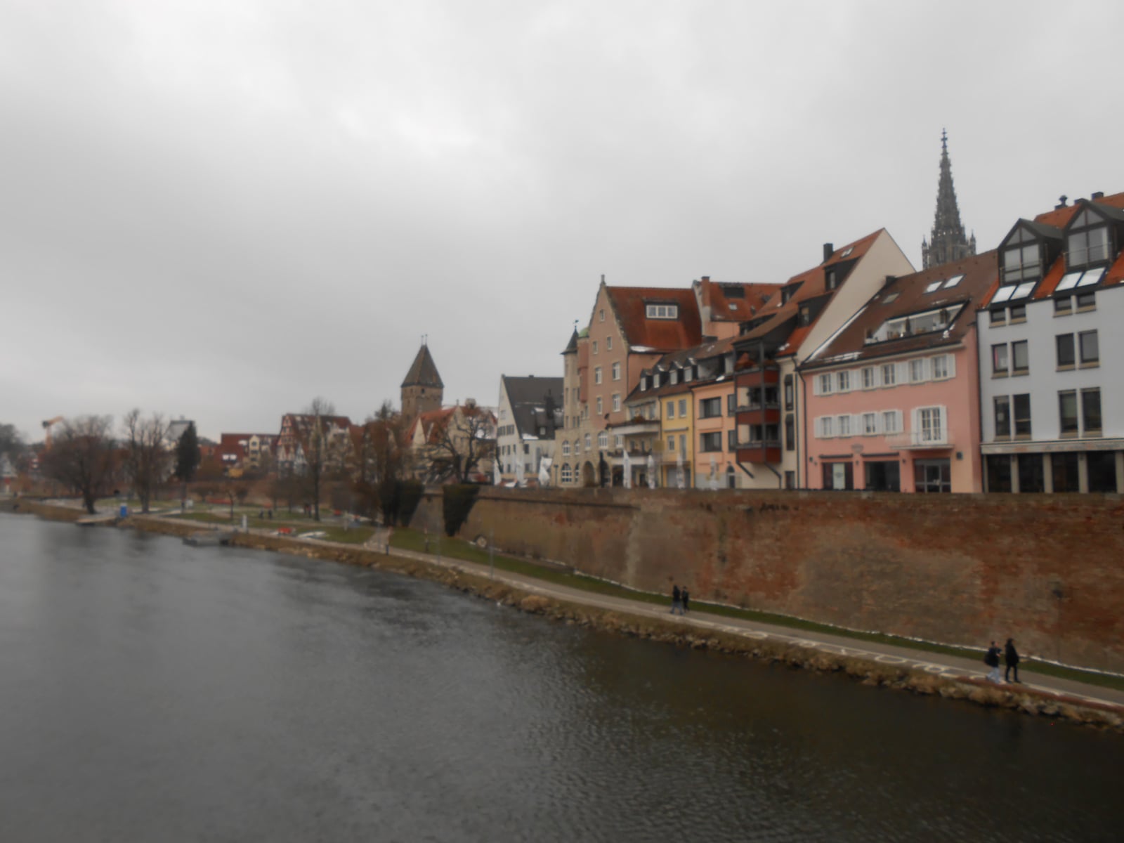 dscn9598.jpg dscn9598.jpg