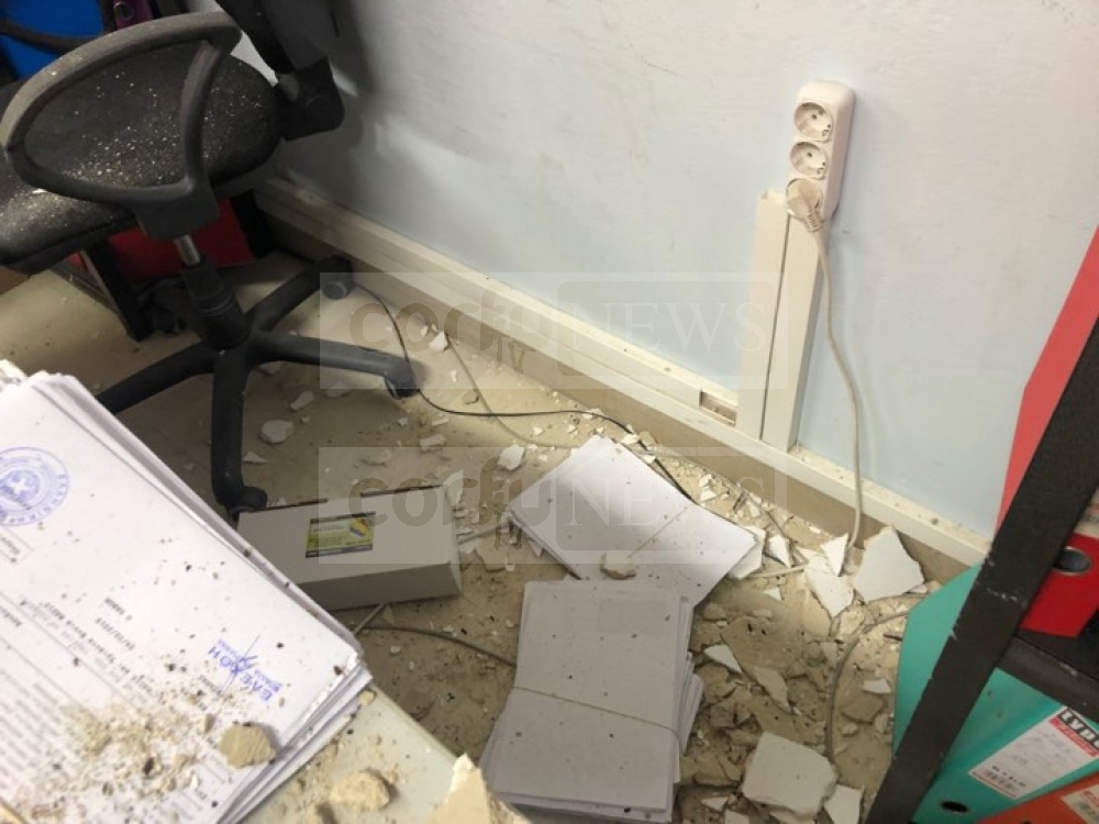 organismos_1.jpg organismos_1.jpg