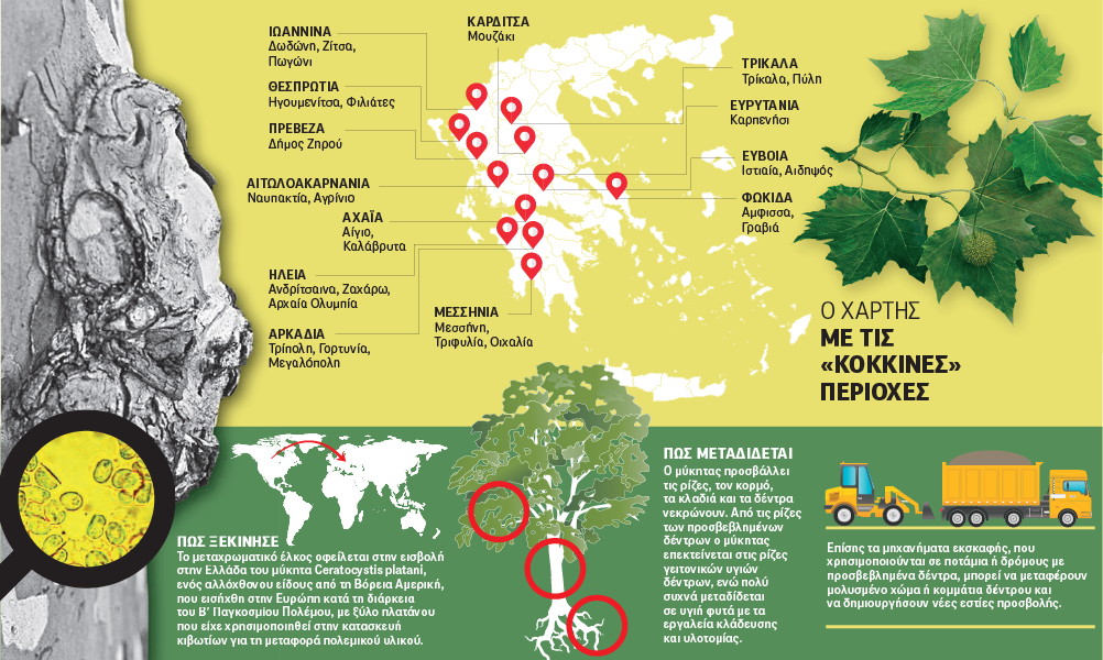 untitled.png untitled.png