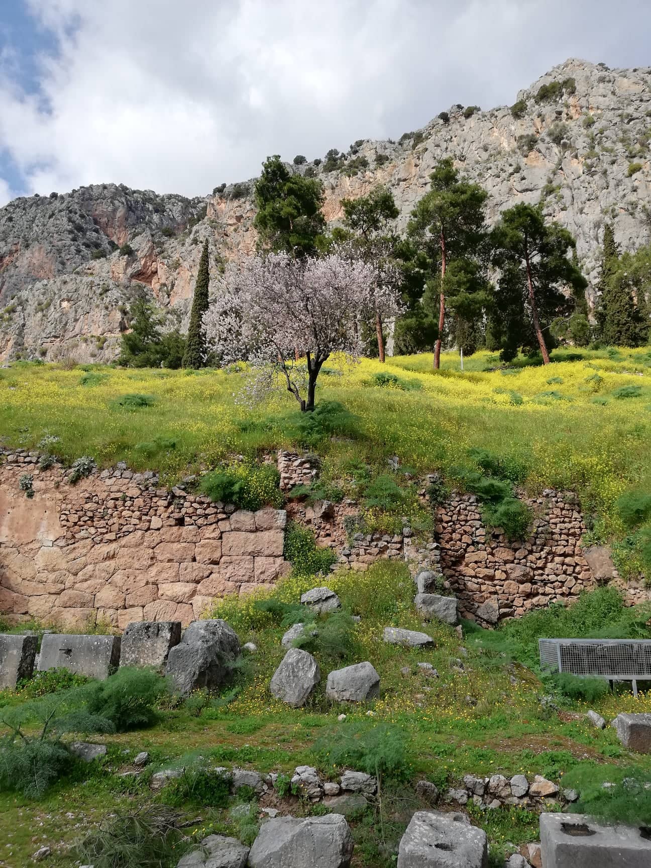 52889968_324988241694114_104430742527803392_n.jpg 52889968_324988241694114_104430742527803392_n.jpg