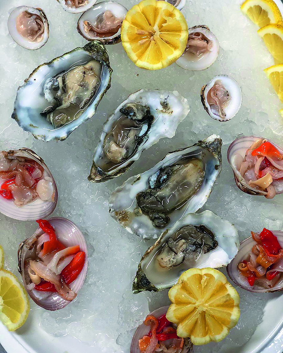 aiolou7.jpg aiolou7.jpg