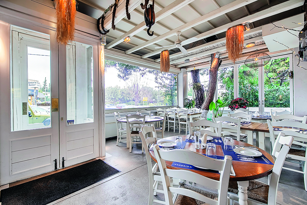 atherina.jpg atherina.jpg