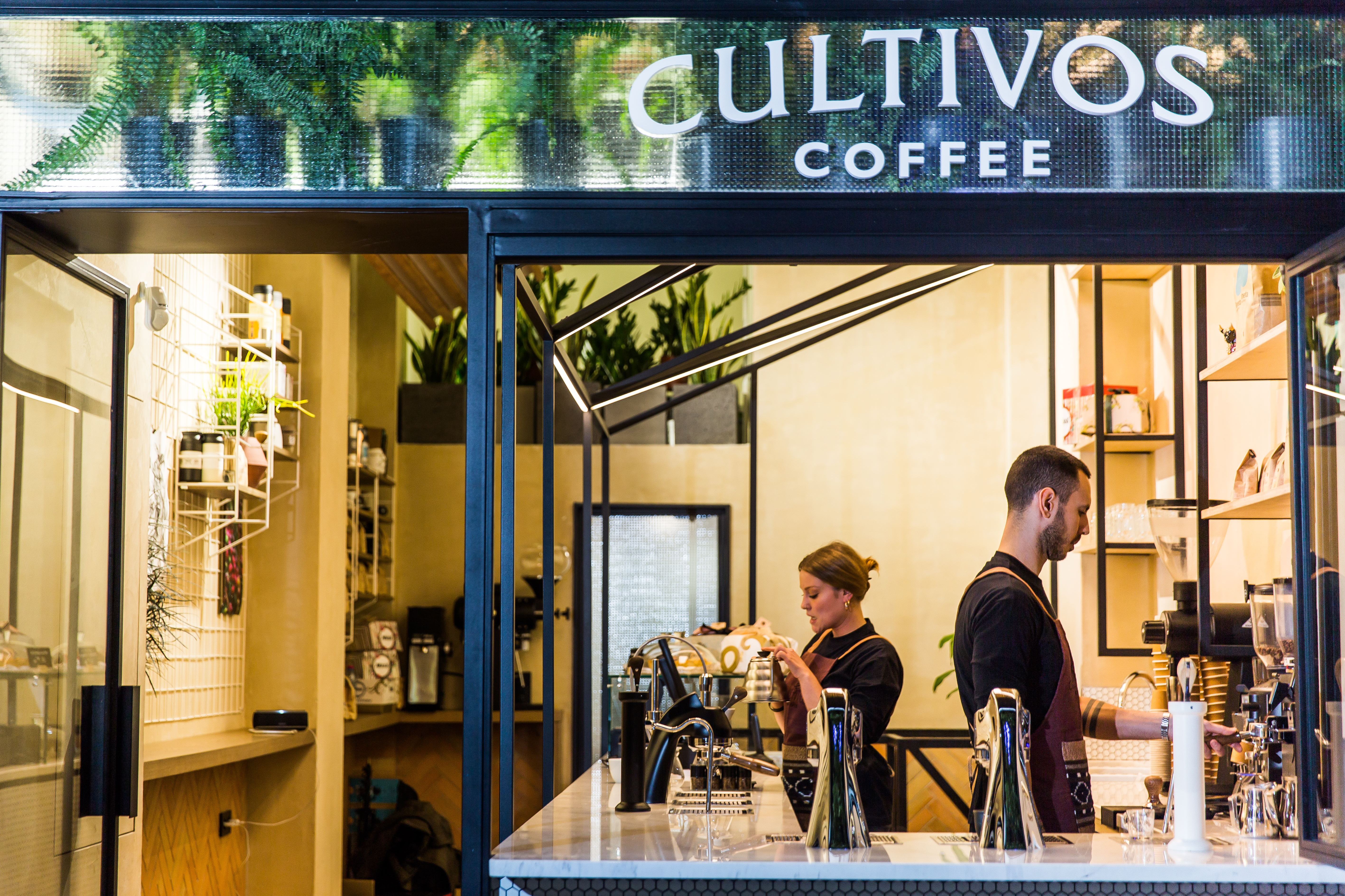 cultivos1.jpg cultivos1.jpg