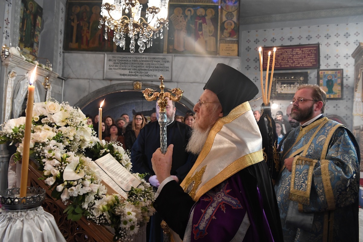 dsc_7037.jpg dsc_7037.jpg