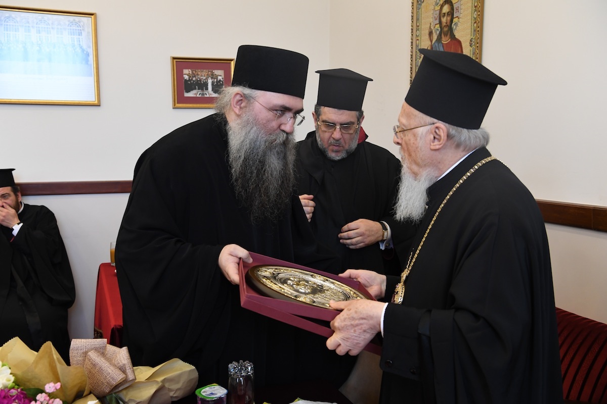 dsc_7353.jpg dsc_7353.jpg