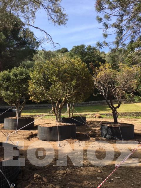 skorpios1.jpg skorpios1.jpg