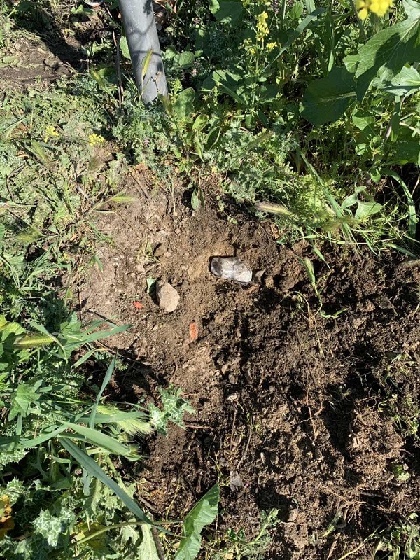 alana2.jpg alana2.jpg