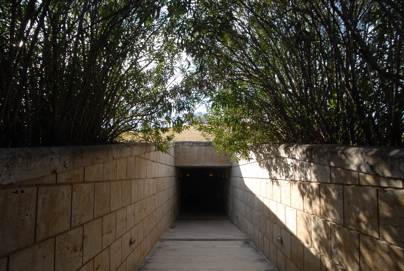 dsc_0041_etk.jpg dsc_0041_etk.jpg