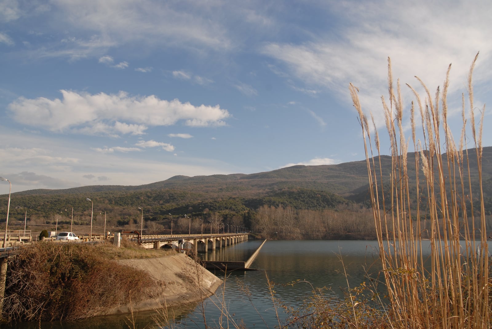 dsc_0086.jpg dsc_0086.jpg