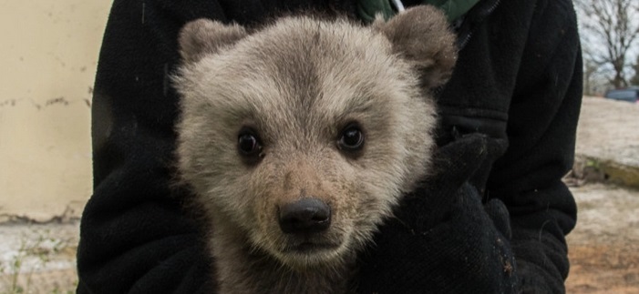 untit3l3ed.jpg untit3l3ed.jpg