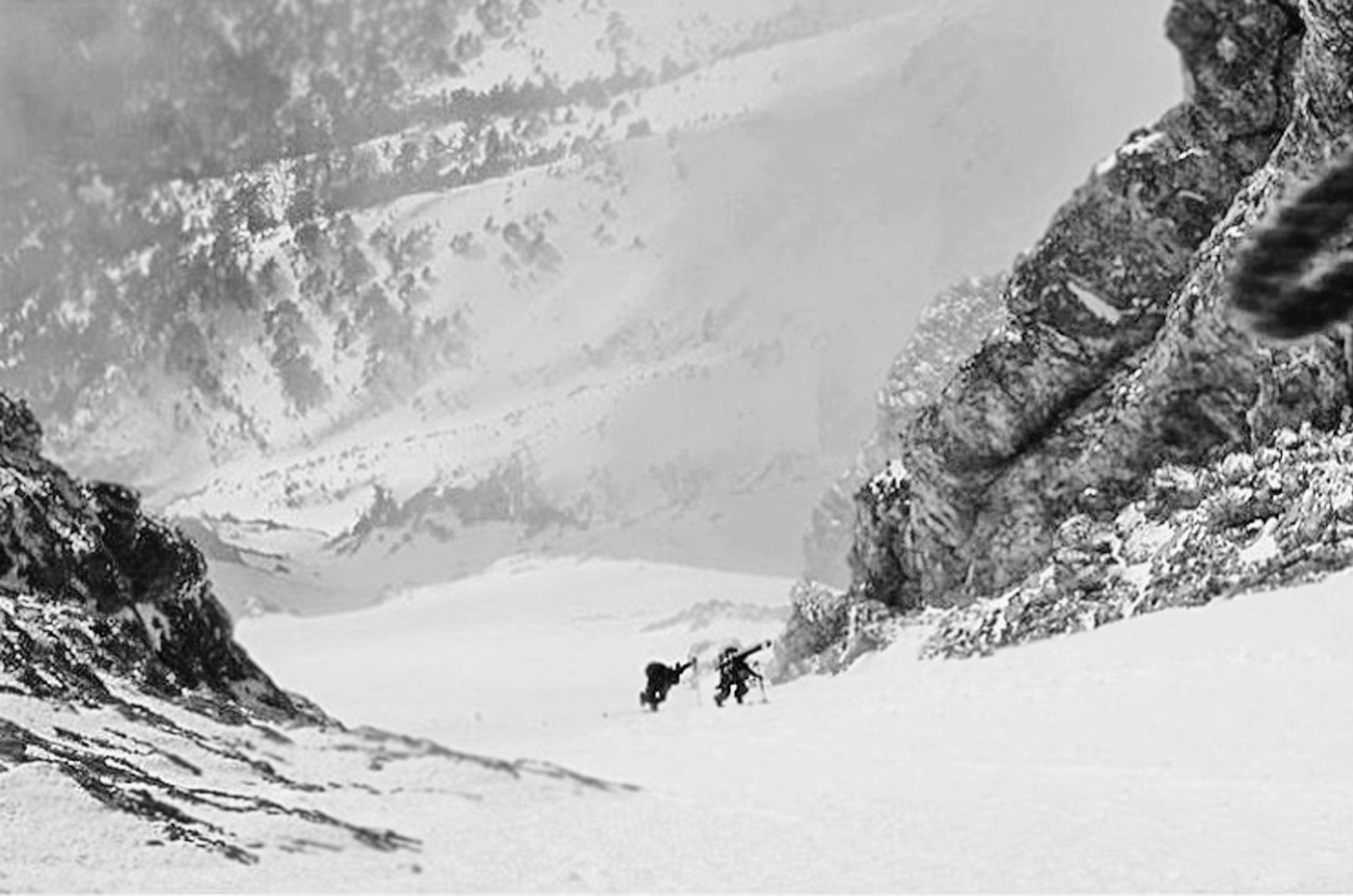 4515072.jpg 4515072.jpg