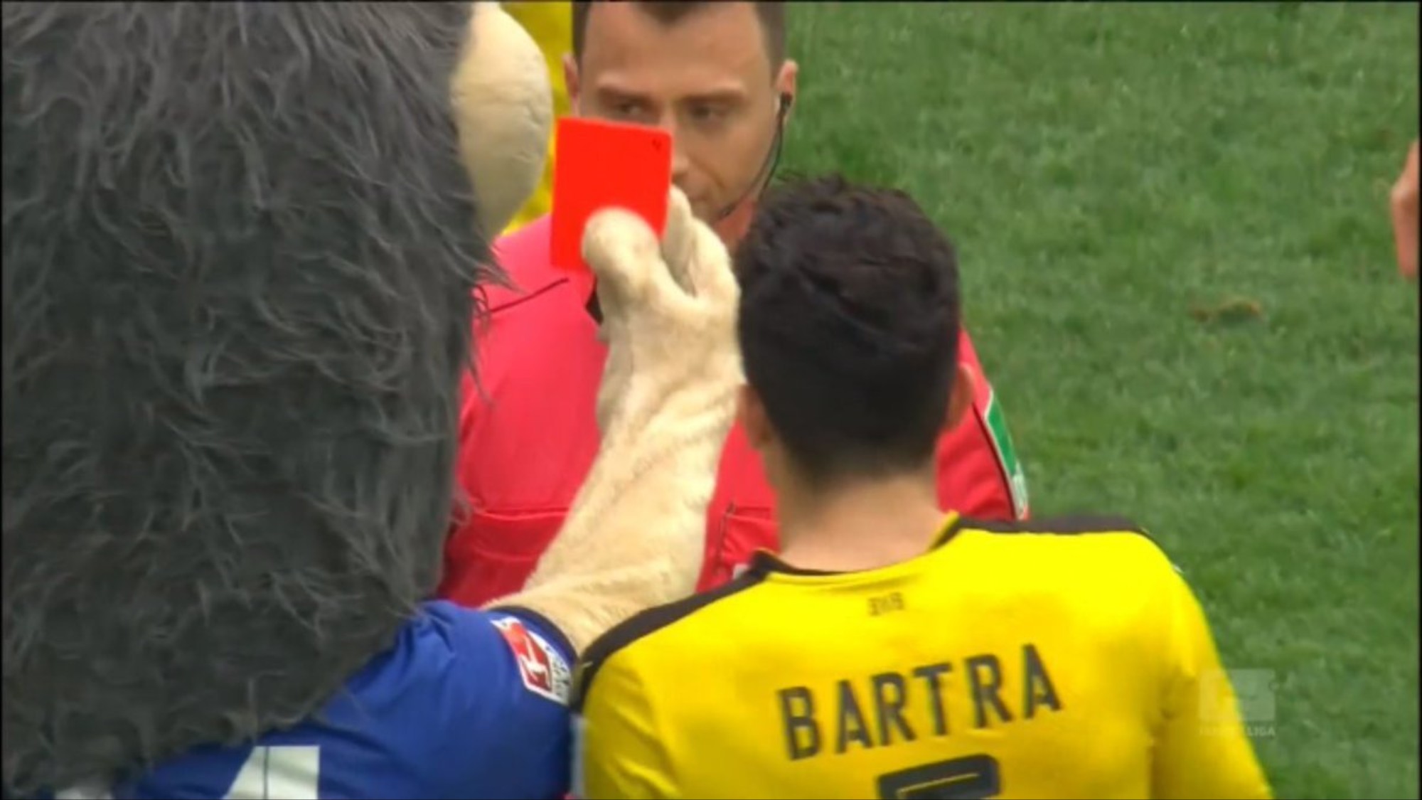 felix_zwayer-mascott.jpg felix_zwayer-mascott.jpg