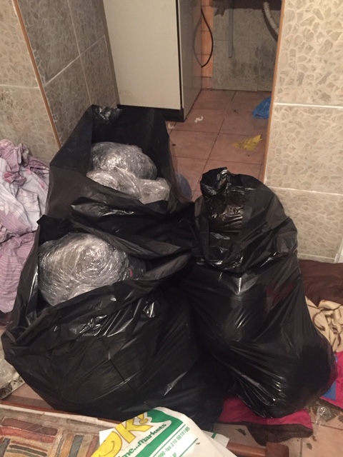 foto_kannabi_3.jpg foto_kannabi_3.jpg