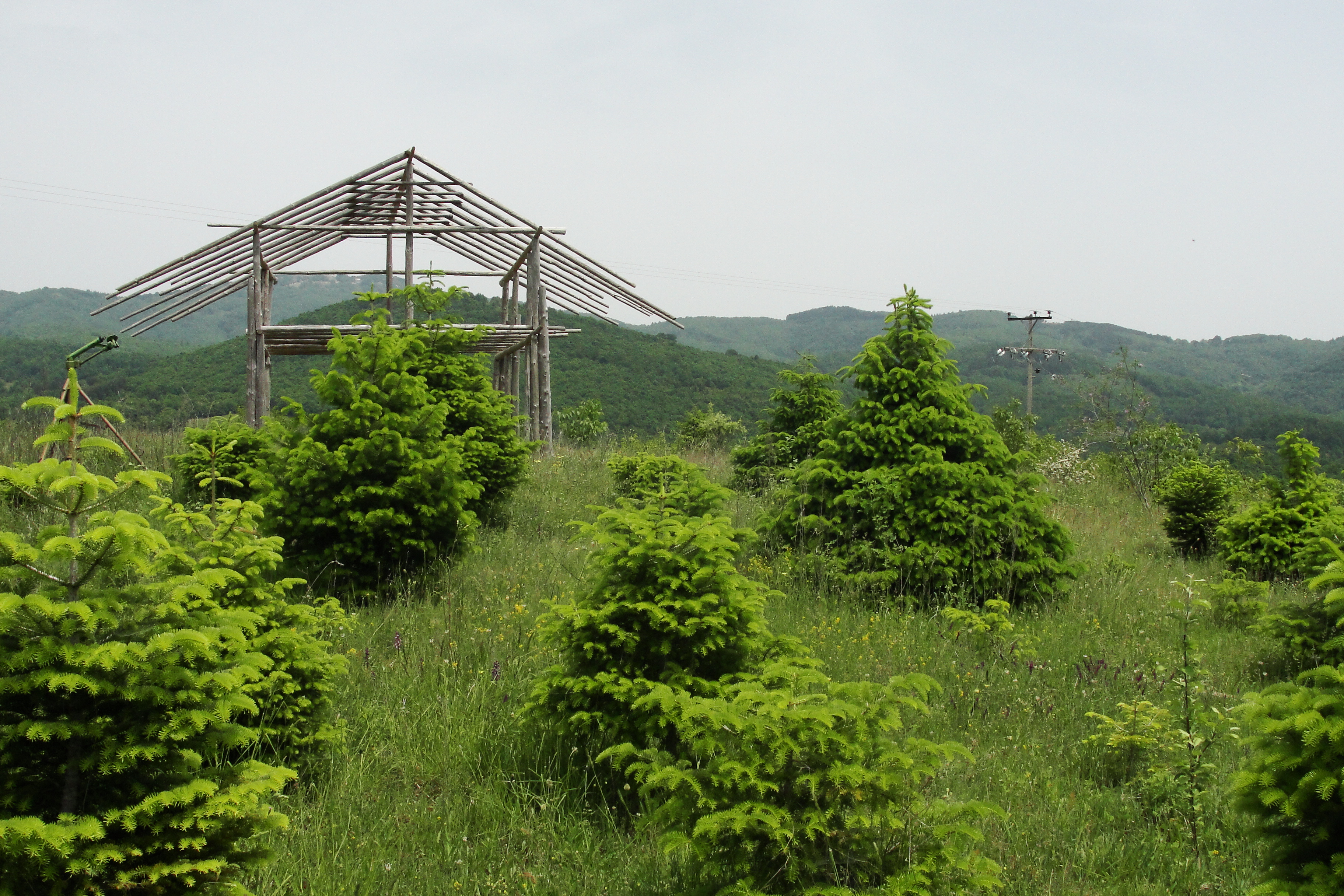 halkidiki2.jpg halkidiki2.jpg
